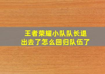 王者荣耀小队队长退出去了怎么回归队伍了