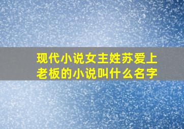 现代小说女主姓苏爱上老板的小说叫什么名字