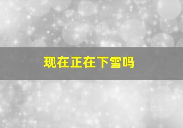 现在正在下雪吗