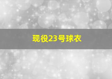 现役23号球衣