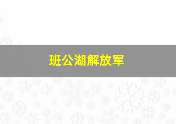 班公湖解放军