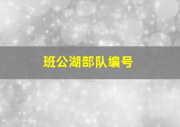 班公湖部队编号