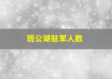 班公湖驻军人数