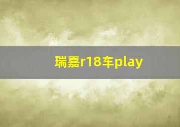 瑞嘉r18车play