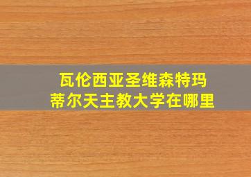 瓦伦西亚圣维森特玛蒂尔天主教大学在哪里