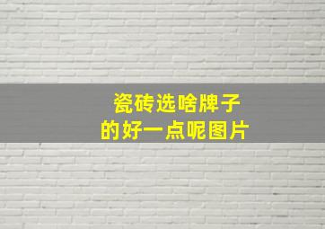 瓷砖选啥牌子的好一点呢图片