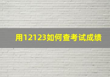 用12123如何查考试成绩