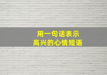 用一句话表示高兴的心情短语