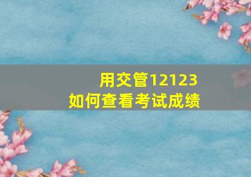 用交管12123如何查看考试成绩