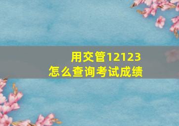 用交管12123怎么查询考试成绩