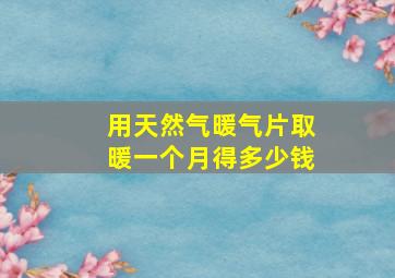 用天然气暖气片取暖一个月得多少钱