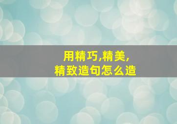 用精巧,精美,精致造句怎么造