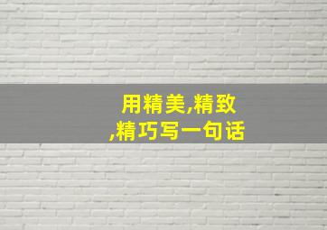 用精美,精致,精巧写一句话