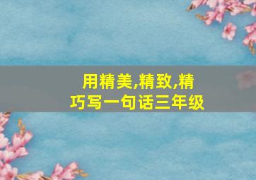 用精美,精致,精巧写一句话三年级