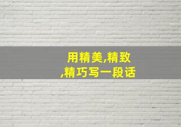 用精美,精致,精巧写一段话