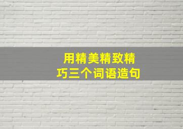 用精美精致精巧三个词语造句