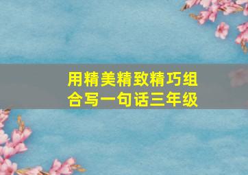 用精美精致精巧组合写一句话三年级