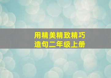 用精美精致精巧造句二年级上册