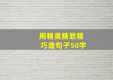 用精美精致精巧造句子50字