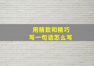 用精致和精巧写一句话怎么写