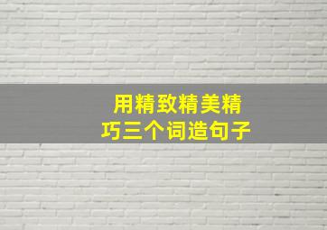 用精致精美精巧三个词造句子