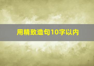 用精致造句10字以内