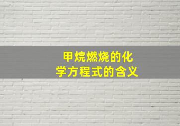 甲烷燃烧的化学方程式的含义