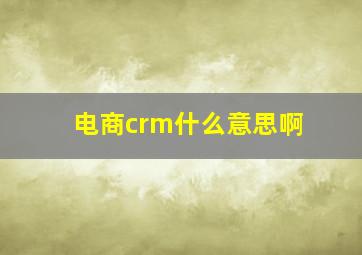 电商crm什么意思啊