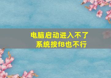 电脑启动进入不了系统按f8也不行