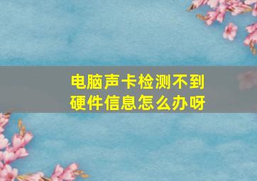 电脑声卡检测不到硬件信息怎么办呀