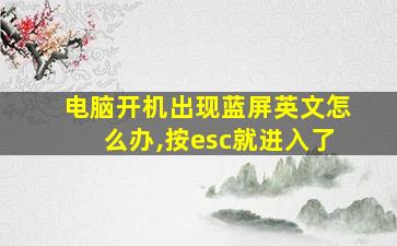 电脑开机出现蓝屏英文怎么办,按esc就进入了