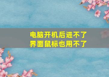 电脑开机后进不了界面鼠标也用不了