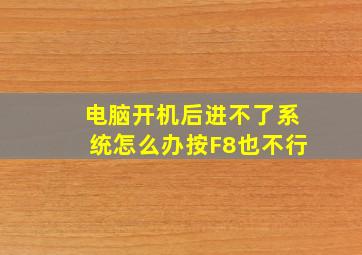 电脑开机后进不了系统怎么办按F8也不行