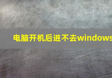 电脑开机后进不去windows