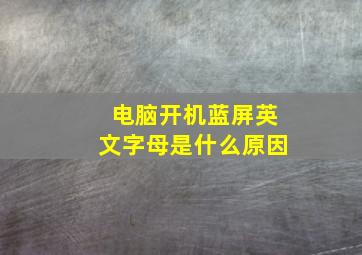 电脑开机蓝屏英文字母是什么原因