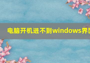 电脑开机进不到windows界面