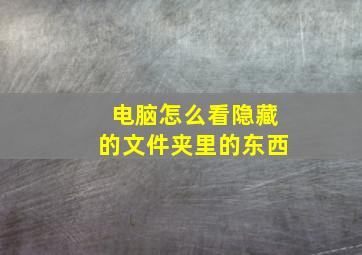 电脑怎么看隐藏的文件夹里的东西