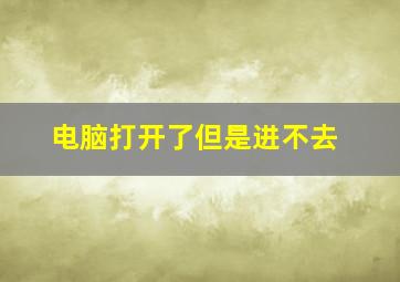 电脑打开了但是进不去