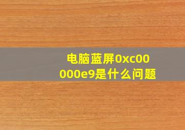 电脑蓝屏0xc00000e9是什么问题