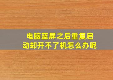 电脑蓝屏之后重复启动却开不了机怎么办呢