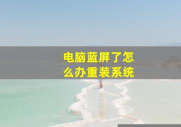 电脑蓝屏了怎么办重装系统