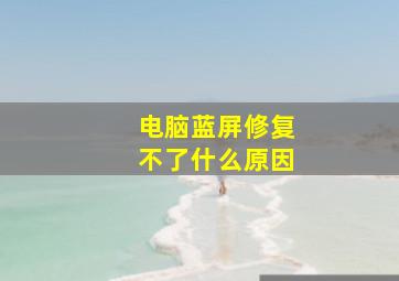 电脑蓝屏修复不了什么原因