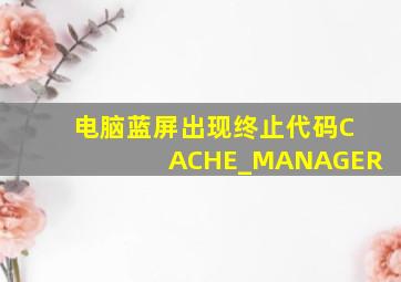 电脑蓝屏出现终止代码CACHE_MANAGER