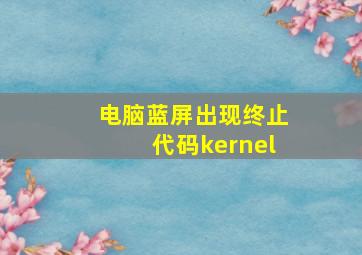 电脑蓝屏出现终止代码kernel