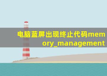 电脑蓝屏出现终止代码memory_management