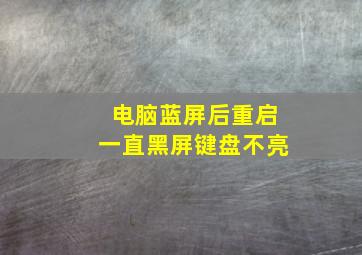 电脑蓝屏后重启一直黑屏键盘不亮