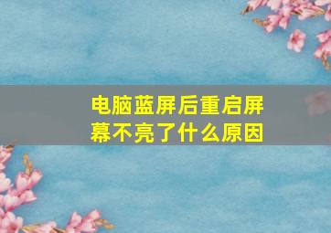 电脑蓝屏后重启屏幕不亮了什么原因