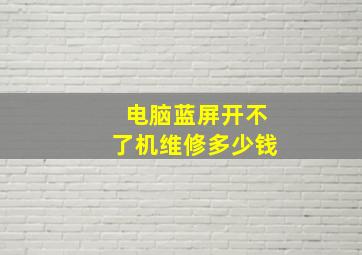 电脑蓝屏开不了机维修多少钱