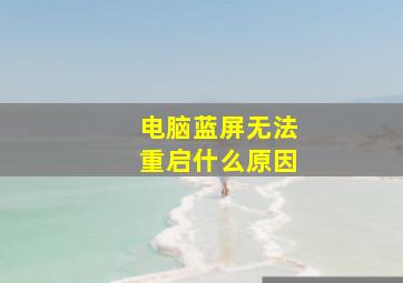 电脑蓝屏无法重启什么原因