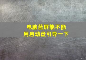 电脑蓝屏能不能用启动盘引导一下